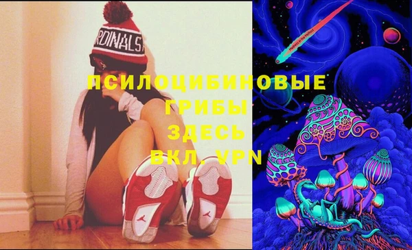 mdpv Надым