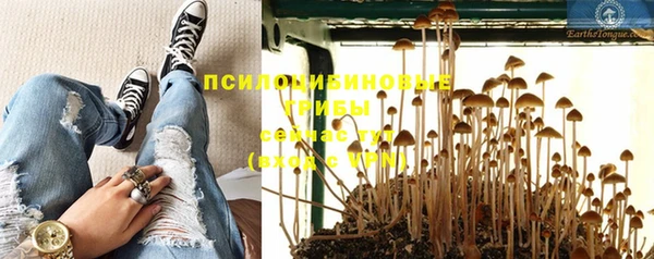 mdpv Надым